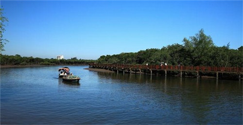 哪个品牌的抗皱精华液好