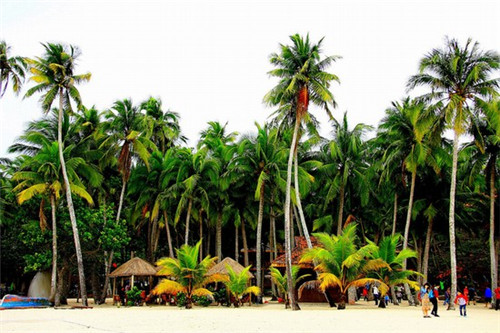 海淀火锅店设计说明范文