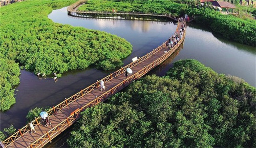 残疾人创业开理发店好吗，残疾人开理发店需要办什么证