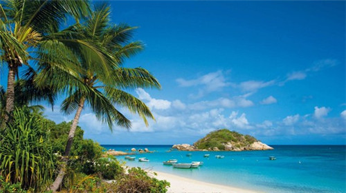 大学生创业能开什么店