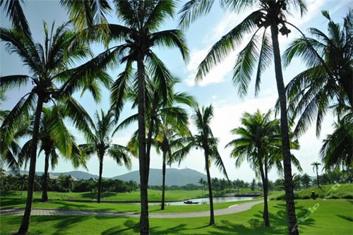 投资旋转小火锅有没有前景，加盟淘汰郎小火锅正常几年回本