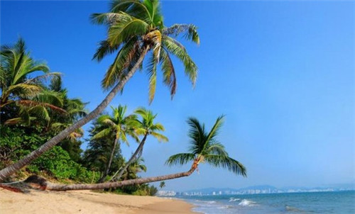 火锅店菜单样本，火锅店菜单收纳方案设计