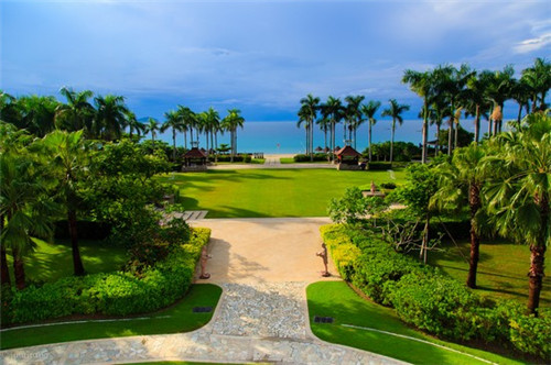 粉丝炒菠菜怎么炒的（粉丝炒菠菜图片）