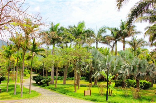 物业持有什么证书有用呢（物业持有什么证书有用呢现在）