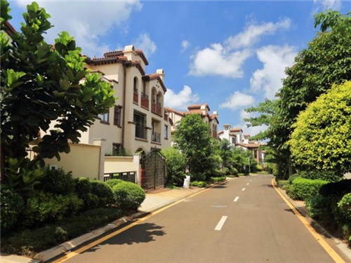良辰风景（良辰美景后半句是什么）